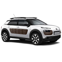 C4 Cactus